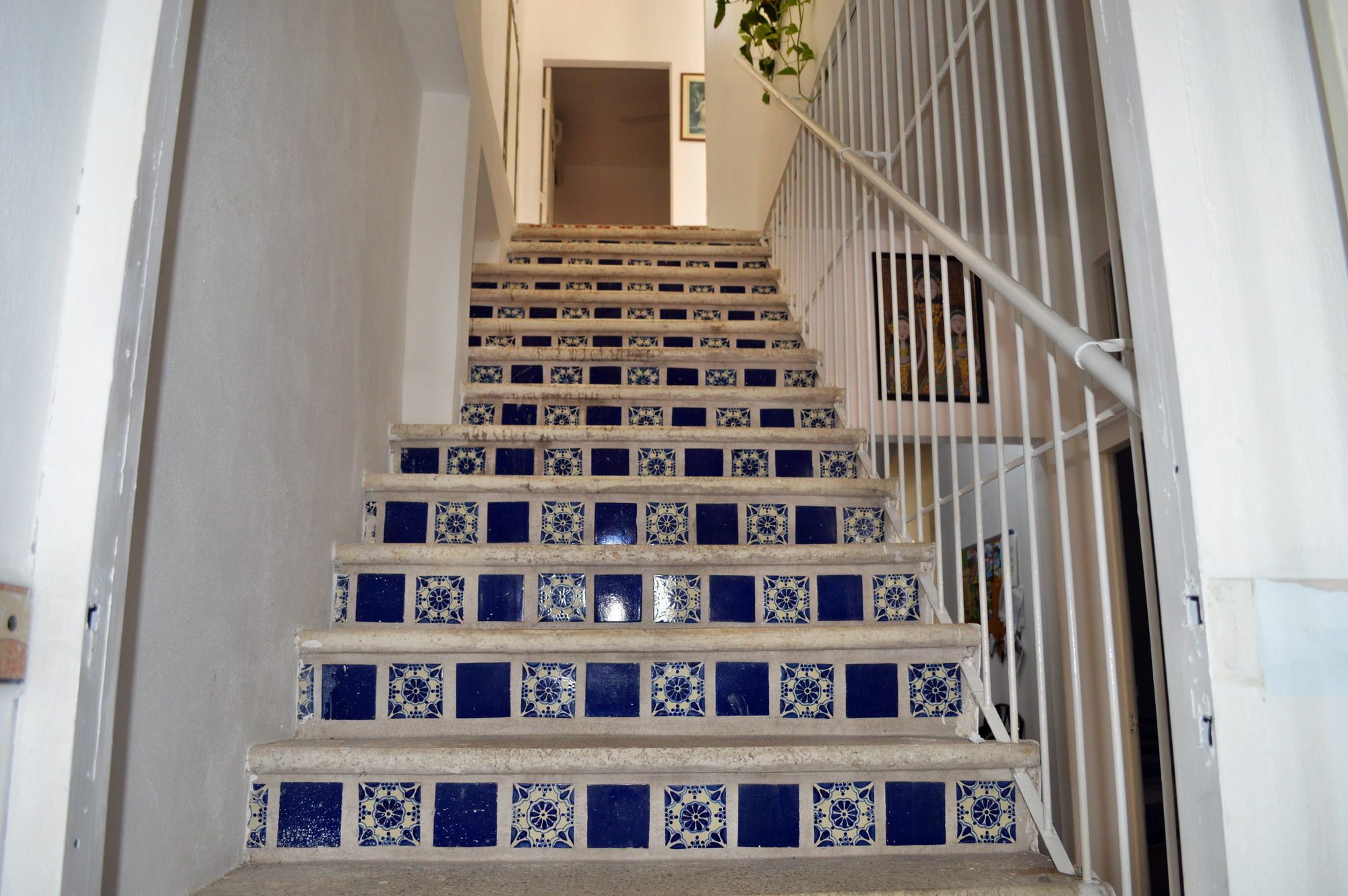 Alexandross Hostel Puerto Vallarta Zewnętrze zdjęcie